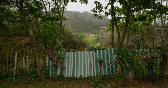 Terrenos por limpar e edifícios abandonados, o combustível que queimou o Funchal
