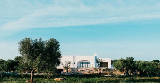 Casa de sonho: assim é uma espetacular e moderna herdade produtora de azeite