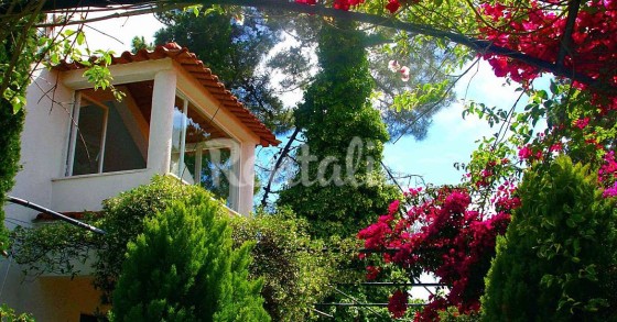 Casas de fim de semana: Um pequeno paraíso entre o mar e a Serra da Arrábida 