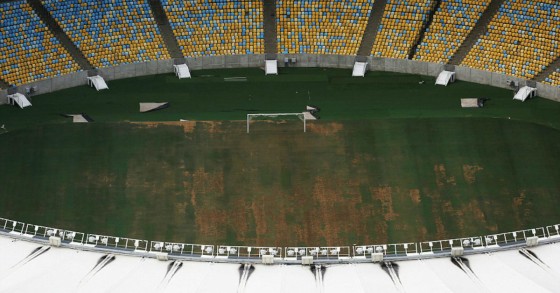 rio_100x100