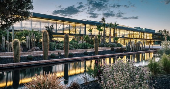 Entra (sem te picares) no jardim de cactos mais espetacular da Europa