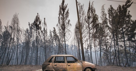 Portugal gastou 6.585 milhões em incêndios nos últimos 16 anos 