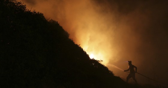 Grandes incêndios de 2017 afetaram cerca de 10.000 empregos 