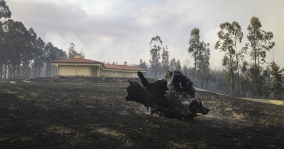 Incêndios: mais de 90% das casas afetadas em Pedrógão estão em obras ou concluídas 