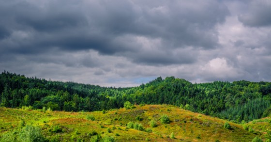 Cobranças das limpezas de terrenos passam para esfera do Fisco