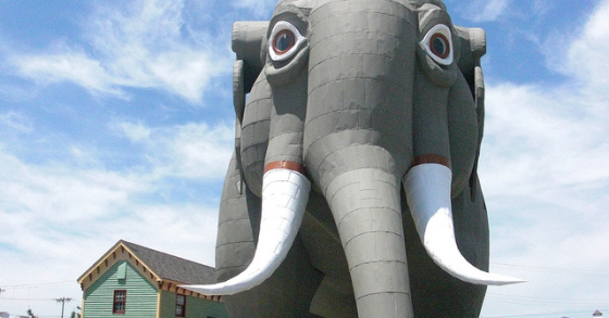 Um elefante? Ou um escritório?