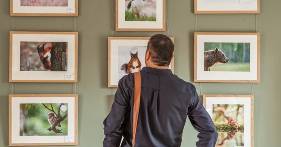 Diese Kunstaustellungen sind 2019 ein absolutes Muss für Kunstliebhaber / Pixabay ein