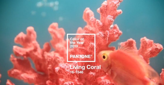 A cor do ano: como decorar a casa com o “Living Coral" em 2019 