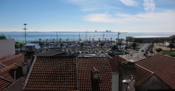 Bosc d'Anjou on Visualhunt / CC BY-NC-SA