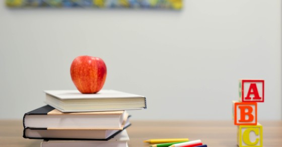 Manuais escolares gratuitos já podem ser pedidos por famílias