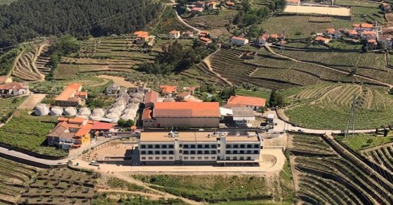 Entre o vinho e a música: Magnificat é o novo espaço de luxo no Douro