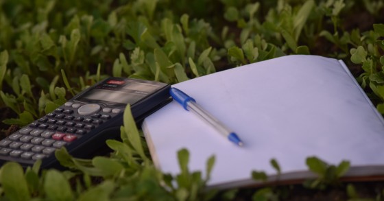 Atenção recibos verdes: é preciso entregar declaração trimestral até ao final do mês