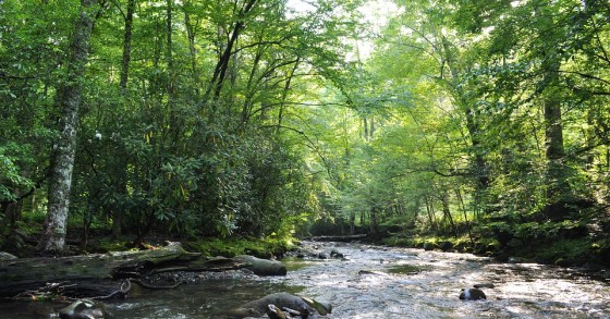 Revive Natureza com luz verde de Marcelo - 96 imóveis do Estado no mercado para investidores