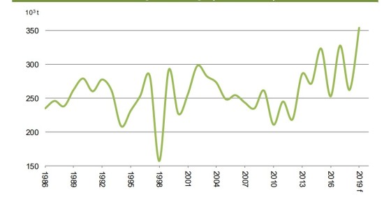 Produção de maçã em Portugal em máximos de 33 anos