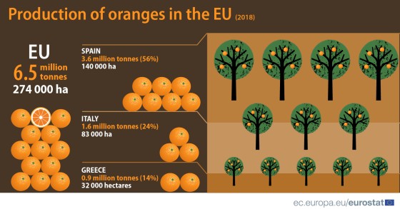 Laranjas há muitas: Portugal é o quarto maior produtor da UE