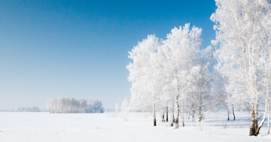 Empresário russo quer vender aldeia habitada por 300.000 euros