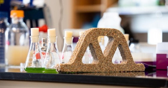 “Cimento vivo”: o material do futuro que purifica o ar e arranja sozinho os edifícios