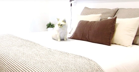 Truques para tirar as melhores fotos e vídeos da casa que queres vender – só com o telemóvel 