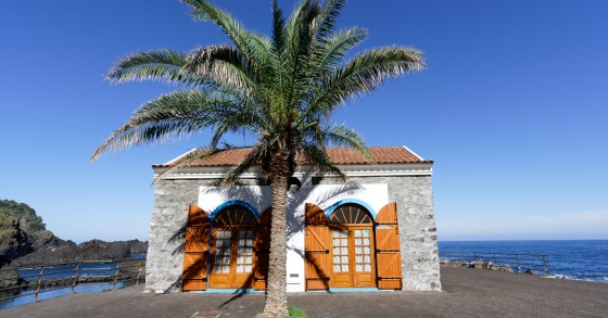 Covid-19: Salão Imobiliário da Madeira adiado para setembro 