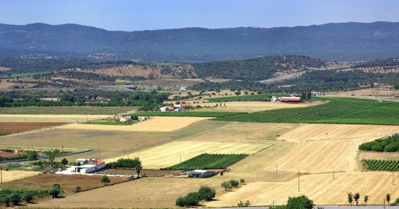 Sair da cidade e ir viver para o campo durante a pandemia? É mau para todos...