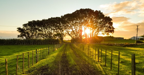 IMI: imóveis urbanos pagam 200 vezes mais imposto do que os prédios rústicos