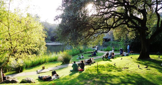 Ribeiro Telles: o arquiteto que desenhou os jardins da Gulbenkian (e muito mais) morreu aos 98 anos