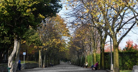 Câmara do Porto aposta na “promoção de estilos de vida saudáveis” – 18 jardins vão ter miniginásios