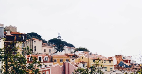 Photo by Luisa Azevedo on Unsplash