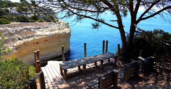 Braga e Algarve entre os 20 melhores lugares para os americanos viverem na Europa, diz a Forbes