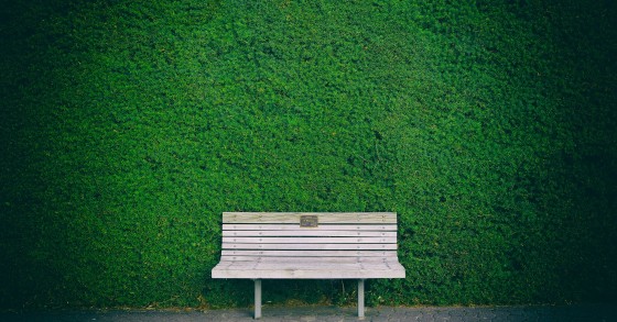 Câmara do Porto investe 10 milhões na reabilitação e expansão de parques, jardins e espaços verdes