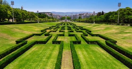 Lisboa tem 44% de áreas verdes, mais que a média mundial