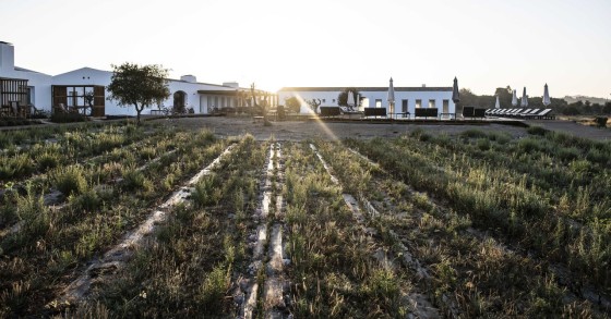 Craveiral FarmHouse no Alentejo será a “casa” de cinco artistas até ao final do mês