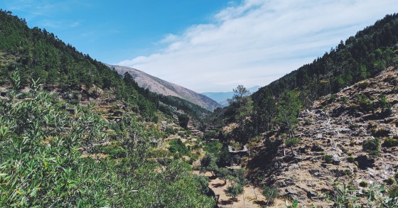 Revive Natureza: 12 imóveis do Estado adjudicados a privados para exploração turística