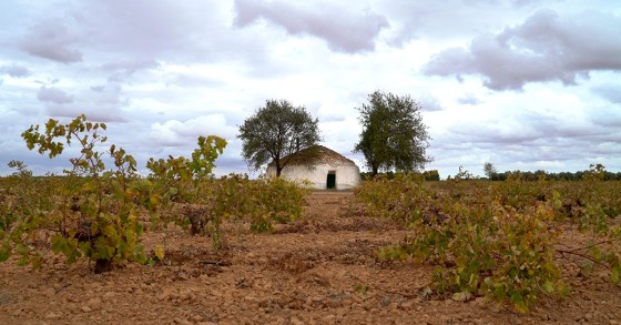 Os bombos de Tomelloso, uma construção de pedra que resiste à passagem do tempo