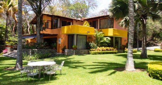 Como preparar o jardim para a primavera: 6 truques infalíveis
