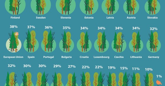 Portugal é o 9º país da UE com mais área florestal