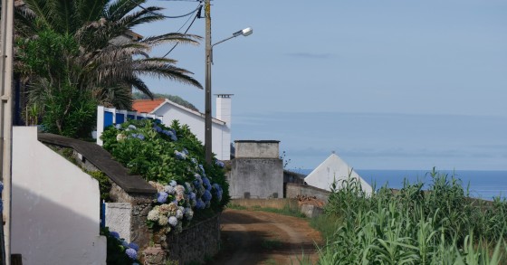Rendas das casas sobem 1,6% em fevereiro em termos homólogos