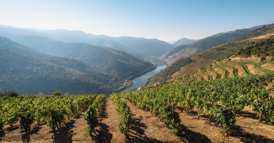 Construção de hotel de Mário Ferreira no Douro foi chumbada