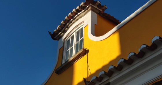 Photo by Daniel Llorente on Unsplash