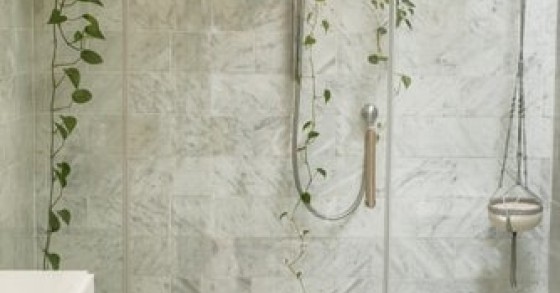 Como decorar a casa com plantas: um guia com dicas para todas as divisões