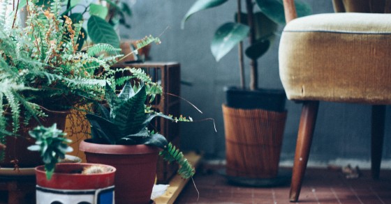 Como ter uma varanda ou terraço de sonho: 6 dicas de decoração imperdíveis