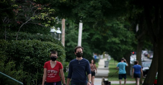 Máscaras biodegradáveis podem dar lugar a jardins de flores silvestres