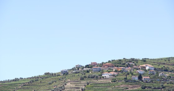 Terrenos urbanizáveis - afinal esta classificação ainda existe?