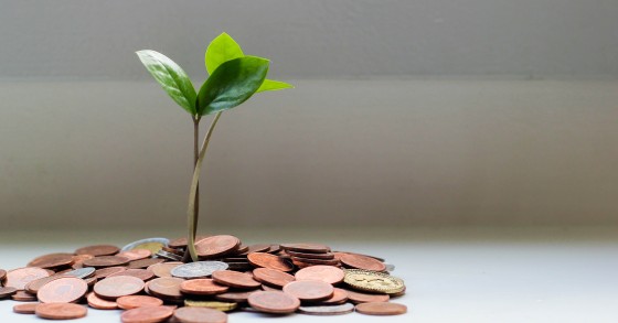 Reembolso do IRS: qual a melhor forma de o usar ou rentabilizar