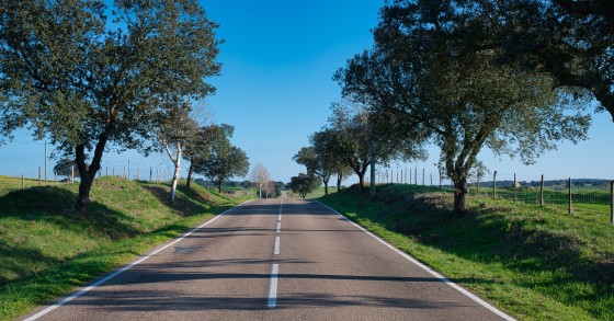 Transformar o Alentejo no próximo 'Silicon Valley': estrutura europeia do empreendedorismo na "mira"