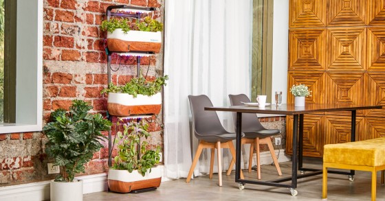 Como decorar o terraço sem gastar muito dinheiro