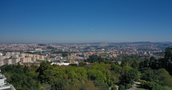 Novos empreendimentos 