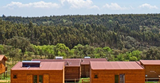 Zmar: menos de metade das 260 casas de madeira foram legalizadas