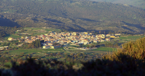 Romana aderiu à iniciativa de Casas por um euro