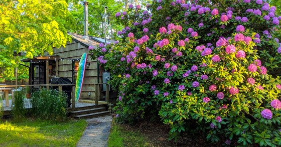 The Surf Cabin em Nova Iorque 